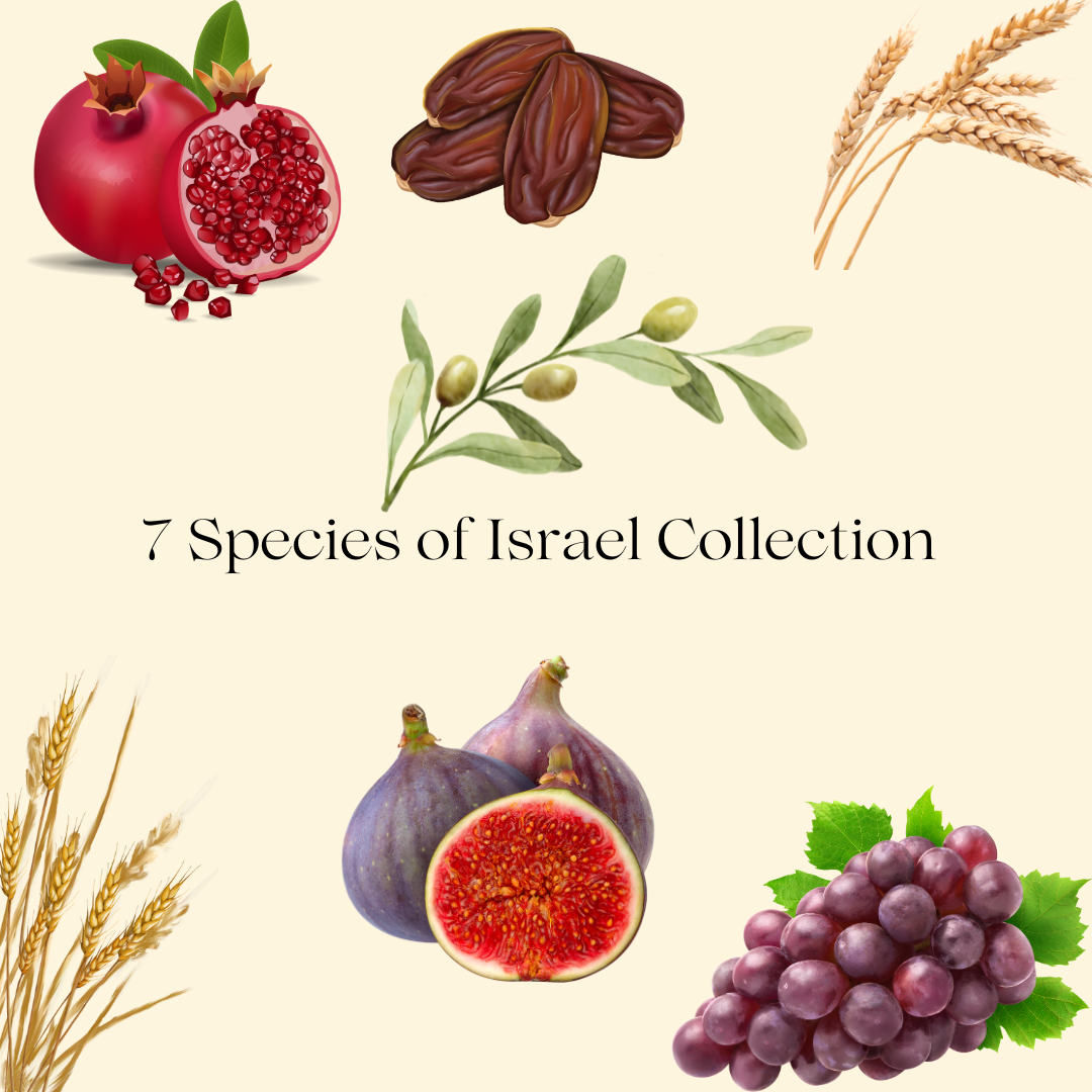 7 Species of Israel Collection