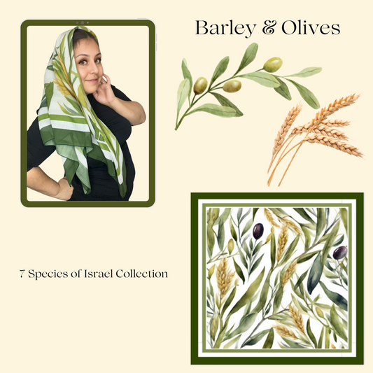 Barley & Olives